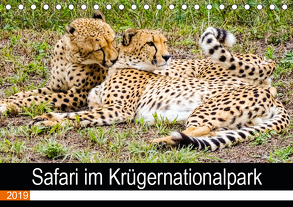 Safari im Krügernationalpark (Tischkalender 2019 DIN A5 quer) von Kärcher,  Linde