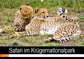 Safari im Krügernationalpark (Wandkalender 2019 DIN A2 quer) von Kärcher,  Linde