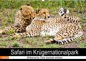 Safari im Krügernationalpark (Wandkalender 2022 DIN A2 quer) von Kärcher,  Linde