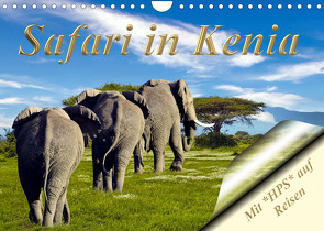 Safari in Kenia (Wandkalender 2023 DIN A4 quer) von Schwerin,  Heinz-Peter