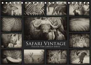 Safari Vintage (Tischkalender 2023 DIN A5 quer) von Barth,  Carolin