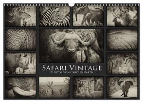 Safari Vintage (Wandkalender 2024 DIN A3 quer), CALVENDO Monatskalender von Barth,  Carolin