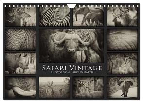 Safari Vintage (Wandkalender 2024 DIN A4 quer), CALVENDO Monatskalender von Barth,  Carolin