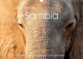 Sagenhaftes Sambia – Unterwegs an Luangwa und Sambesi (Wandkalender 2022 DIN A3 quer) von Leithold,  Markus