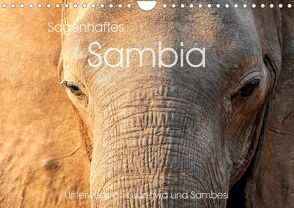 Sagenhaftes Sambia – Unterwegs an Luangwa und Sambesi (Wandkalender 2022 DIN A4 quer) von Leithold,  Markus