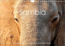 Sagenhaftes Sambia – Unterwegs an Luangwa und Sambesi (Wandkalender 2023 DIN A4 quer) von Leithold,  Markus
