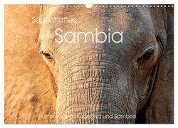 Sagenhaftes Sambia – Unterwegs an Luangwa und Sambesi (Wandkalender 2024 DIN A3 quer), CALVENDO Monatskalender von Leithold,  Markus