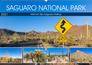 SAGUARO NATIONAL PARK Heimat des Saguaro-Kaktus (Wandkalender 2021 DIN A2 quer) von Viola,  Melanie