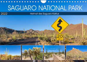 SAGUARO NATIONAL PARK Heimat des Saguaro-Kaktus (Wandkalender 2022 DIN A4 quer) von Viola,  Melanie