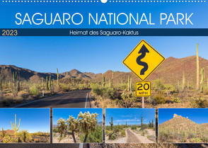SAGUARO NATIONAL PARK Heimat des Saguaro-Kaktus (Wandkalender 2023 DIN A2 quer) von Viola,  Melanie