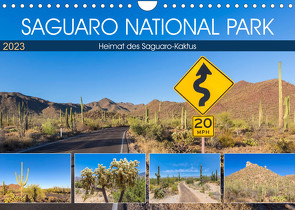 SAGUARO NATIONAL PARK Heimat des Saguaro-Kaktus (Wandkalender 2023 DIN A4 quer) von Viola,  Melanie