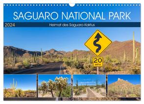 SAGUARO NATIONAL PARK Heimat des Saguaro-Kaktus (Wandkalender 2024 DIN A3 quer), CALVENDO Monatskalender von Viola,  Melanie