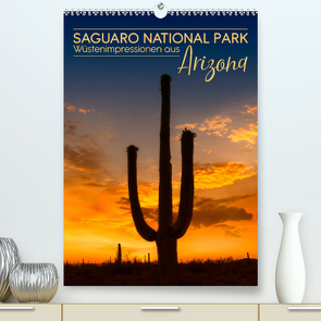 SAGUARO NATIONAL PARK Wüstenimpressionen aus Arizona (Premium, hochwertiger DIN A2 Wandkalender 2023, Kunstdruck in Hochglanz) von Viola,  Melanie
