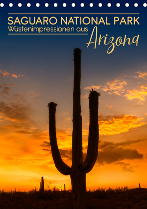SAGUARO NATIONAL PARK Wüstenimpressionen aus Arizona (Tischkalender 2021 DIN A5 hoch) von Viola,  Melanie