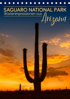 SAGUARO NATIONAL PARK Wüstenimpressionen aus Arizona (Tischkalender 2022 DIN A5 hoch) von Viola,  Melanie