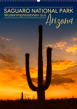 SAGUARO NATIONAL PARK Wüstenimpressionen aus Arizona (Wandkalender 2021 DIN A2 hoch) von Viola,  Melanie
