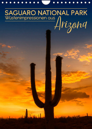 SAGUARO NATIONAL PARK Wüstenimpressionen aus Arizona (Wandkalender 2022 DIN A4 hoch) von Viola,  Melanie