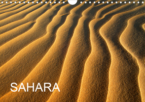 SAHARA (Wandkalender 2020 DIN A4 quer) von / D. Moser,  McPHOTO