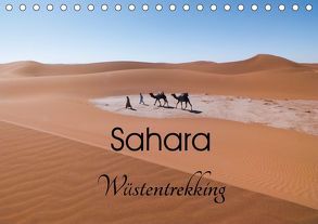 Sahara Wüstentrekking (Tischkalender 2019 DIN A5 quer) von Görig,  Christine