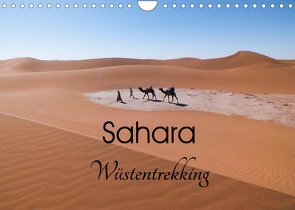 Sahara Wüstentrekking (Wandkalender 2023 DIN A4 quer) von Görig,  Christine