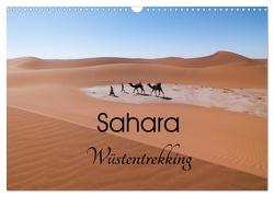 Sahara Wüstentrekking (Wandkalender 2024 DIN A3 quer), CALVENDO Monatskalender von Görig,  Christine