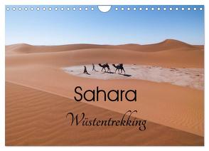 Sahara Wüstentrekking (Wandkalender 2024 DIN A4 quer), CALVENDO Monatskalender von Görig,  Christine