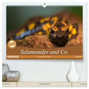 Salamander und Co. (hochwertiger Premium Wandkalender 2024 DIN A2 quer), Kunstdruck in Hochglanz von Di Chito,  Ursula