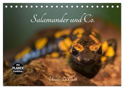 Salamander und Co. (Tischkalender 2024 DIN A5 quer), CALVENDO Monatskalender von Di Chito,  Ursula