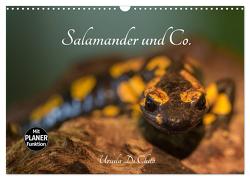 Salamander und Co. (Wandkalender 2024 DIN A3 quer), CALVENDO Monatskalender von Di Chito,  Ursula