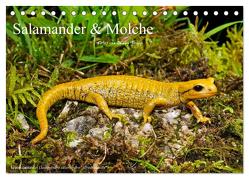 Salamander und Molche (Tischkalender 2024 DIN A5 quer), CALVENDO Monatskalender von Trapp,  Benny