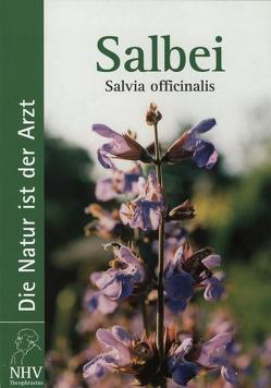 Salbei – Salvia officinalis