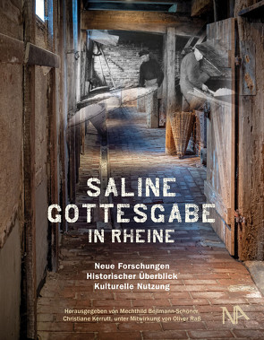 Saline Gottesgabe in Rheine von Beilmann-Schöner,  Mechthild, Kerrutt,  Christiane, Raß,  Oliver
