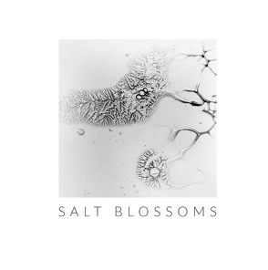 Salt Blossoms von Strecker,  Henrieke I.