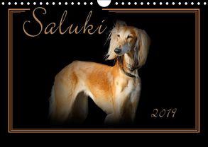 Saluki 2019 (Wandkalender 2019 DIN A4 quer) von Redecker,  Andrea