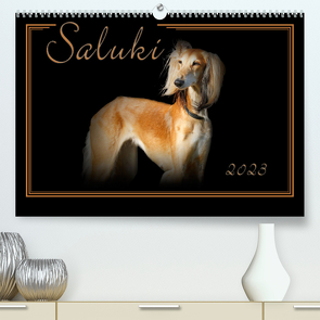 Saluki 2023 (Premium, hochwertiger DIN A2 Wandkalender 2023, Kunstdruck in Hochglanz) von Redecker,  Andrea