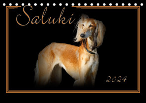 Saluki 2024 (Tischkalender 2024 DIN A5 quer), CALVENDO Monatskalender von Redecker,  Andrea