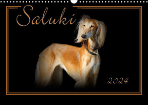 Saluki 2024 (Wandkalender 2024 DIN A3 quer), CALVENDO Monatskalender von Redecker,  Andrea