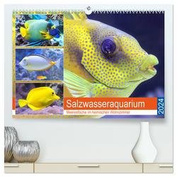 Salzwasseraquarium. Meeresfische im heimischen Wohnzimmer (hochwertiger Premium Wandkalender 2024 DIN A2 quer), Kunstdruck in Hochglanz von Hurley,  Rose