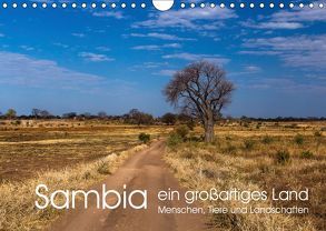 Sambia – ein großartiges Land (Wandkalender 2019 DIN A4 quer) von rsiemer