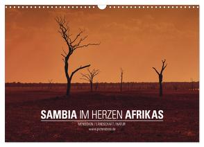 SAMBIA IM HERZEN AFRIKAS (Wandkalender 2024 DIN A3 quer), CALVENDO Monatskalender von Esch,  Jens