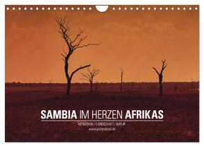 SAMBIA IM HERZEN AFRIKAS (Wandkalender 2024 DIN A4 quer), CALVENDO Monatskalender von Esch,  Jens