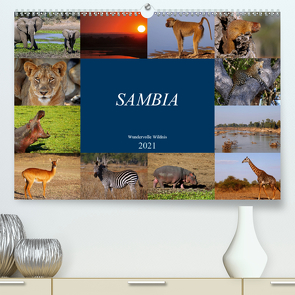Sambia – wundervolle Wildnis (Premium, hochwertiger DIN A2 Wandkalender 2021, Kunstdruck in Hochglanz) von Woyke,  Wibke