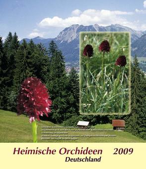 Sammelbilder Heimische Orchideen (2009) von Beyer,  Rudolf