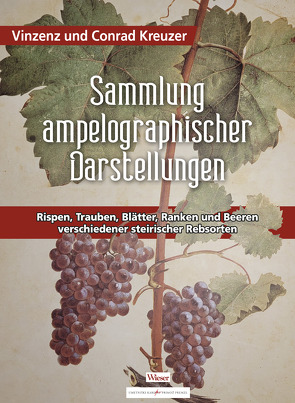 Sammlung ampelographischer Darstellungen von Kreuzer,  Conrad, Kreuzer,  Vinzenz, Trummer,  Franz, Vidić,  Ksenija