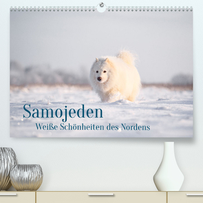 Samojeden – Liebenswerte Fellkugeln (Premium, hochwertiger DIN A2 Wandkalender 2023, Kunstdruck in Hochglanz) von Mirsberger,  Annett