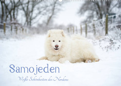 Samojeden – Liebenswerte Fellkugeln (Wandkalender 2022 DIN A2 quer) von Annett Mirsberger,  Tierpfoto