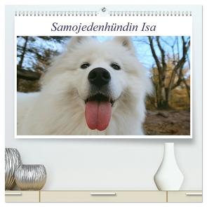 Samojedenhündin Isa (hochwertiger Premium Wandkalender 2024 DIN A2 quer), Kunstdruck in Hochglanz von Valentino,  Bo