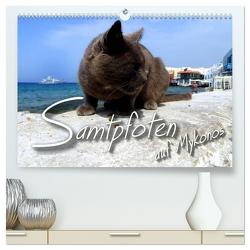 SAMTPFOTEN auf Mykonos (hochwertiger Premium Wandkalender 2024 DIN A2 quer), Kunstdruck in Hochglanz von Bleicher,  Renate