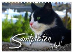 SAMTPFOTEN „fellnah“ (Wandkalender 2024 DIN A3 quer), CALVENDO Monatskalender von Bleicher,  Renate