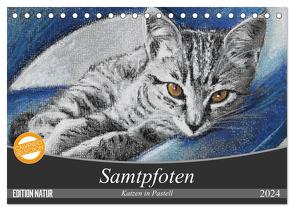 Samtpfoten – Katzen in Pastell (Tischkalender 2024 DIN A5 quer), CALVENDO Monatskalender von Felix,  Uschi
